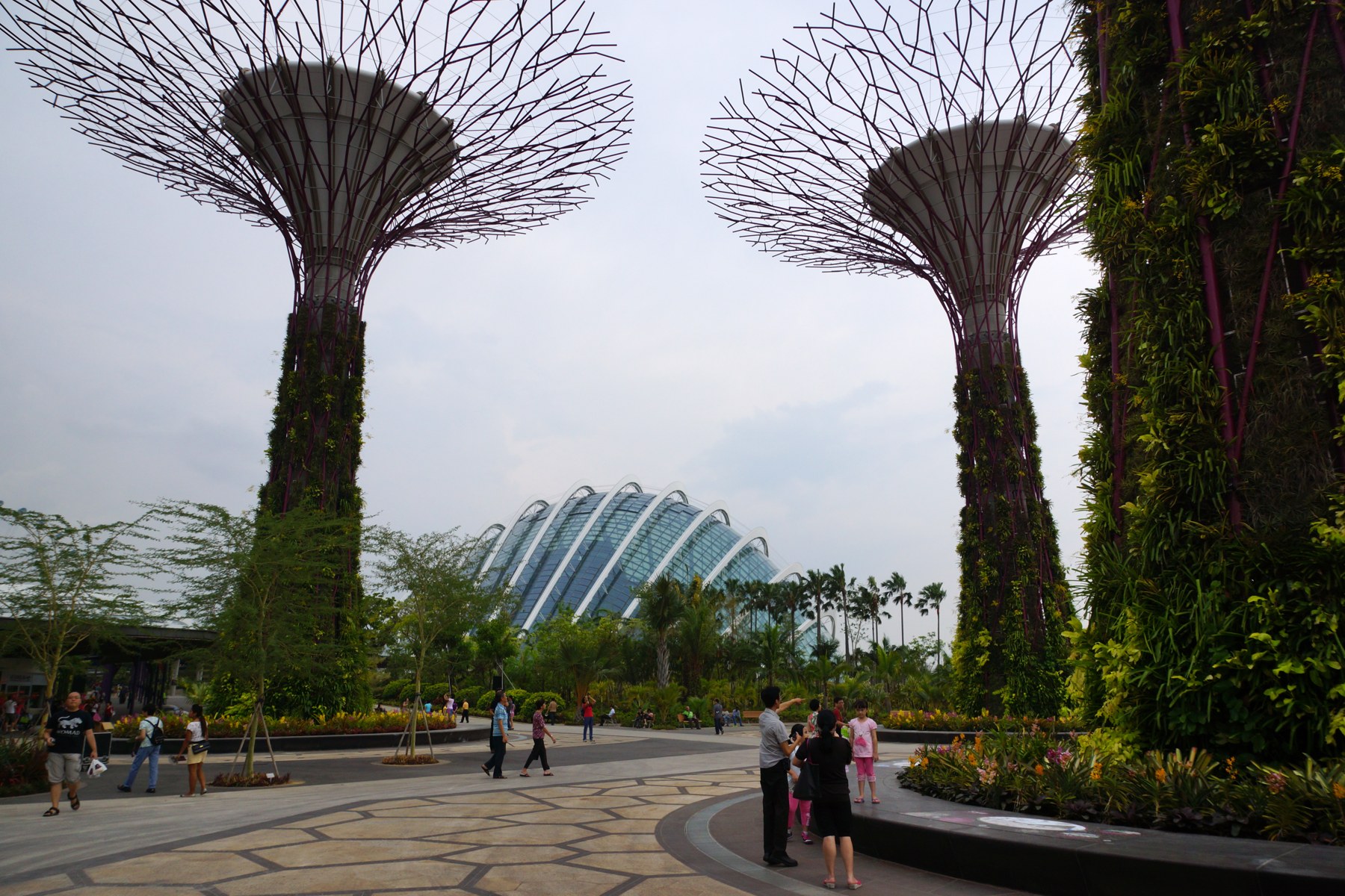 Families walking beneath the Supertrees beside the Cloud Forest at Gardens by the Bay, Singapore